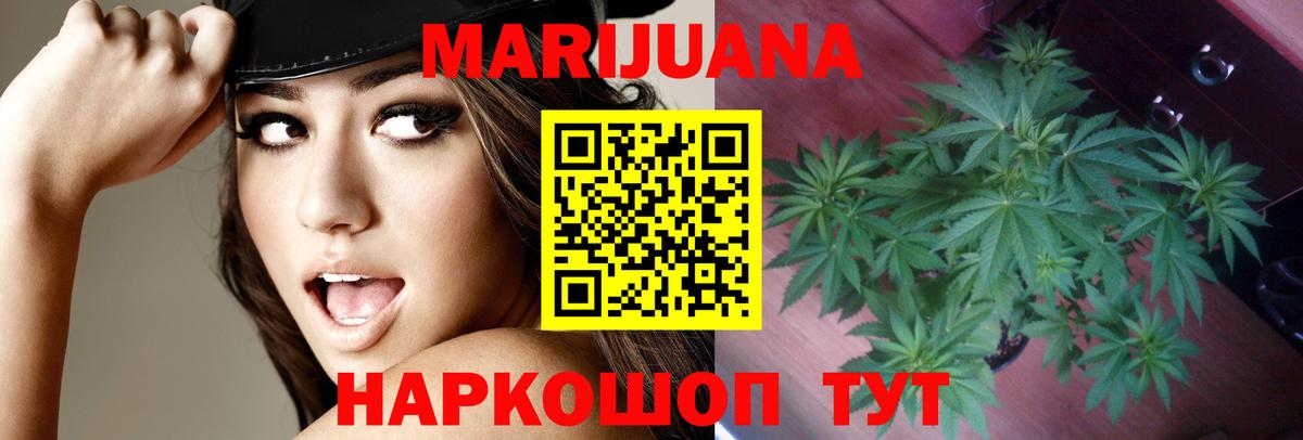 МАРИХУАНА SATIVA & INDICA Сланцы